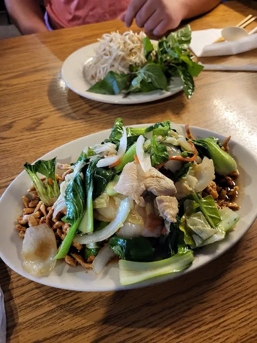 Pho Mekong House of Noodles 7