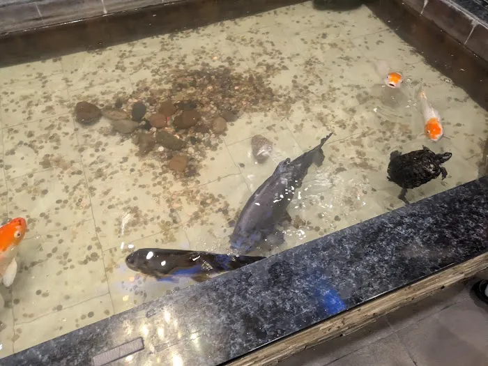 Blue Pacific Seafood Buffet 6