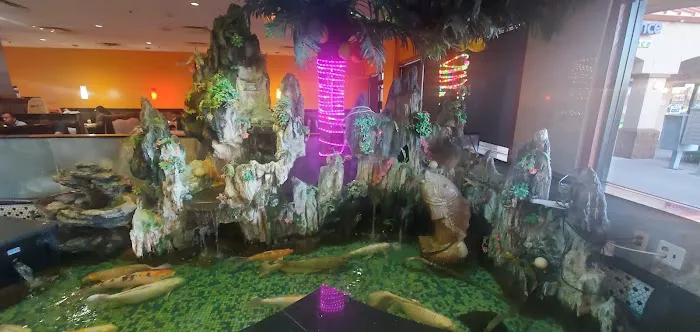 Hibachi Grill 2