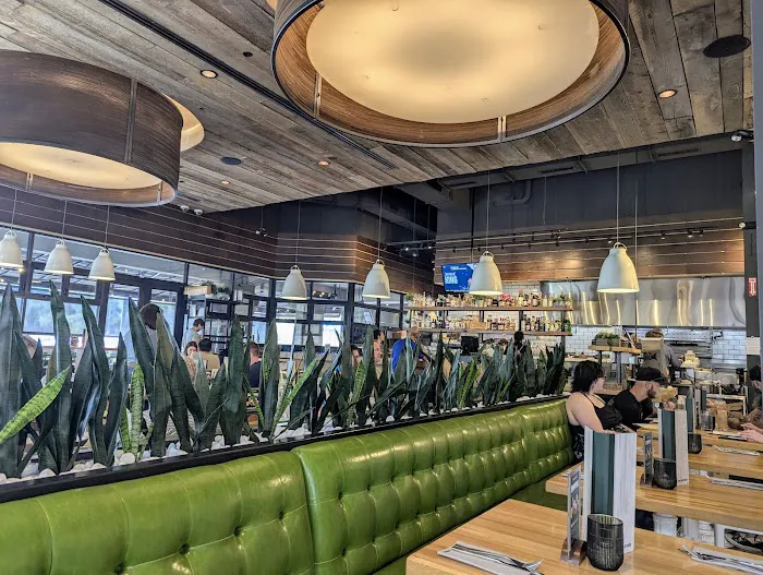 True Food Kitchen 3