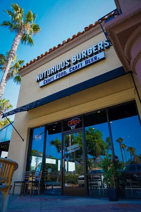 Notorious Burgers 9