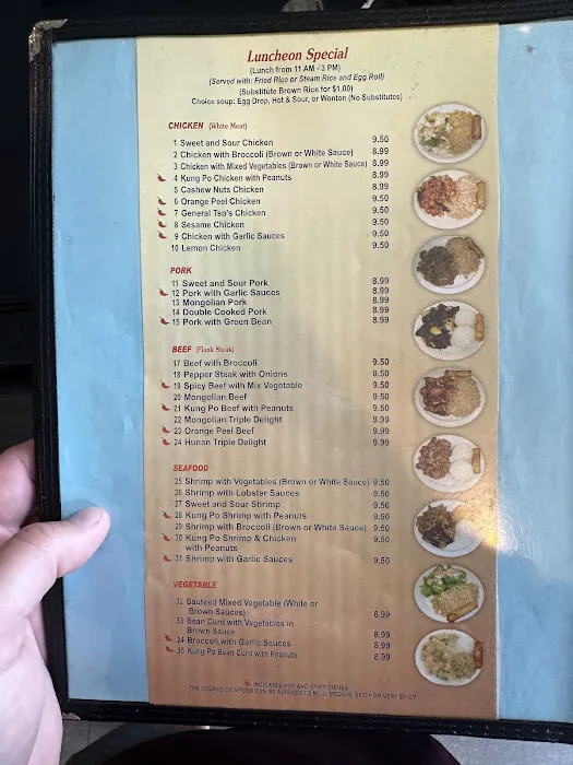 Golden Wok 9
