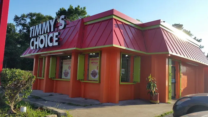 Timmy's Choice 1
