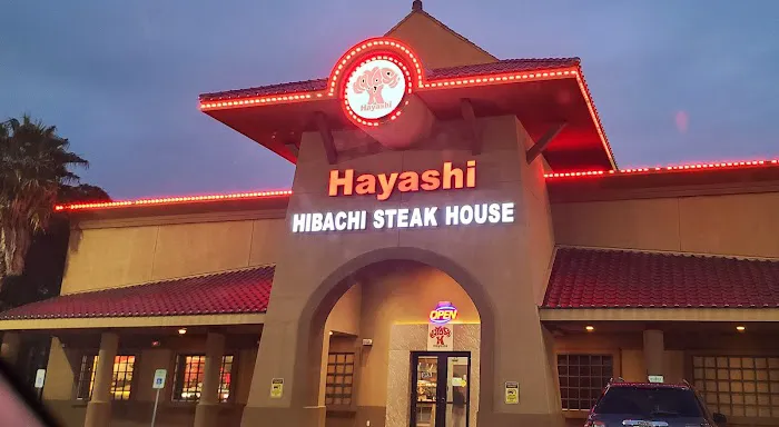 Hayashi Hibachi 5