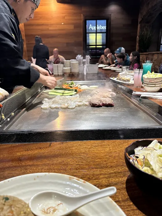 Shogun 10