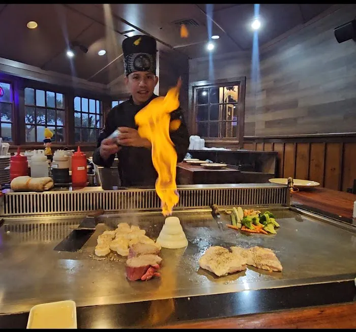 Shogun 9