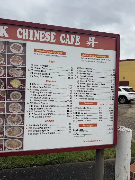 Oriental Wok 9