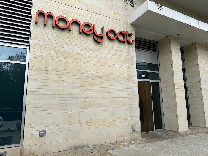 Money Cat 8