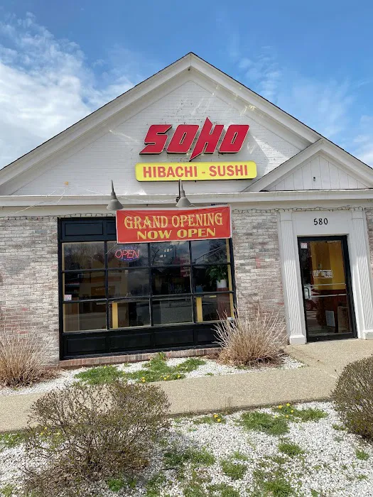Soho EXPRESS Sushi Hibachi 2