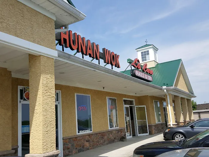 Hunan Wok 1