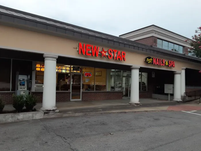 New Star Chinese Restaurant 8