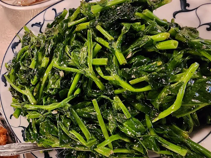 Canton Cook II 6