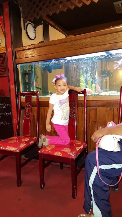 Peking Garden Restaurant 6