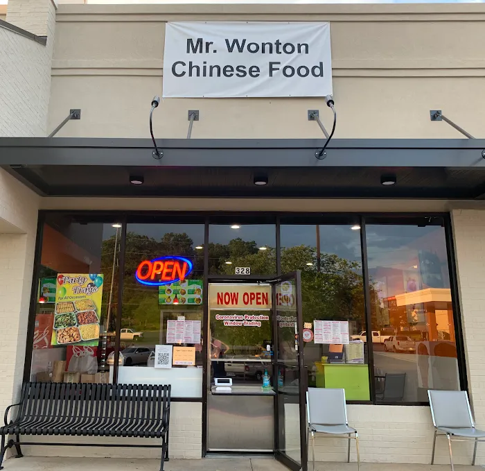 Mr Wonton 9