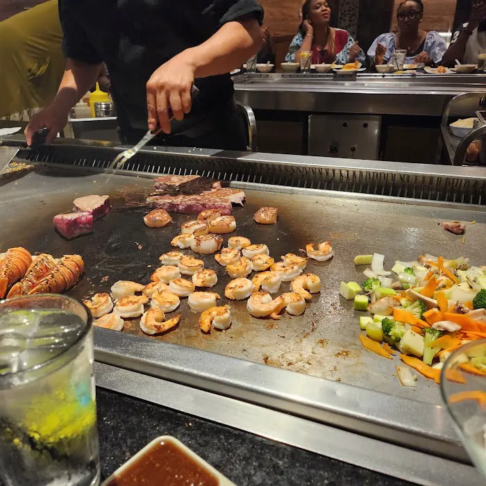 Shogun 8