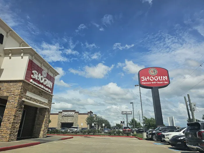 Shogun 1