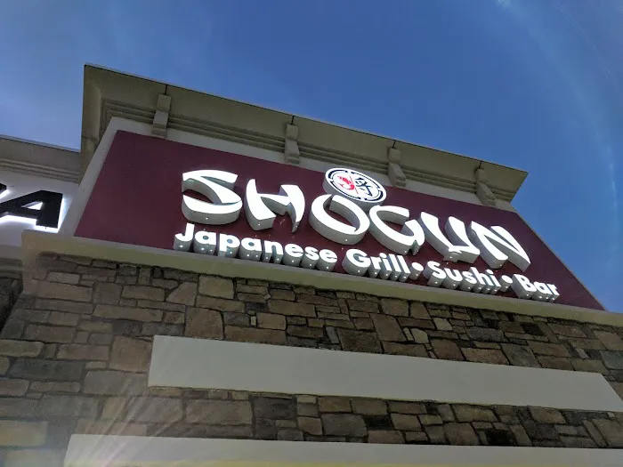 Shogun 9