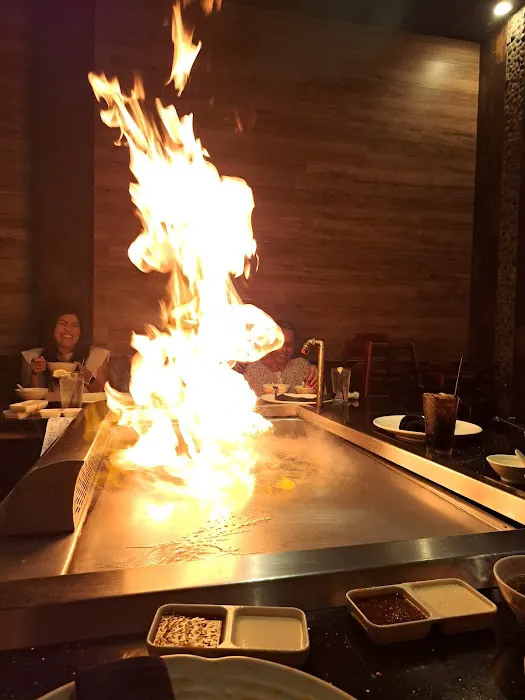 Shogun 2