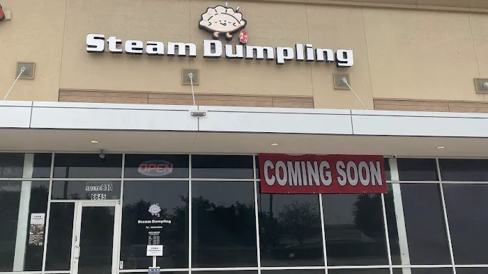 Steam Dumpling 1