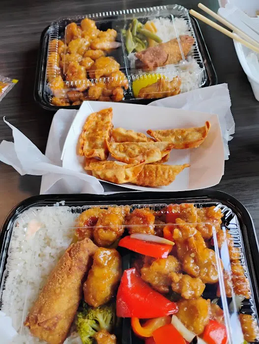 Bento Xpert 1