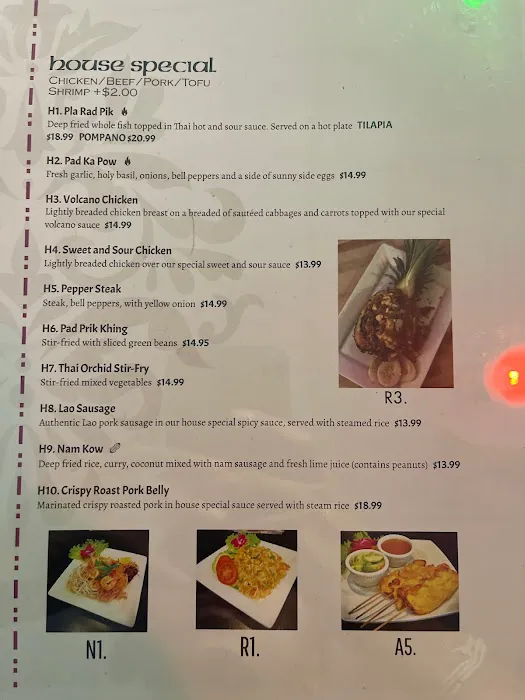 Thai Orchid Bar and Grill 8