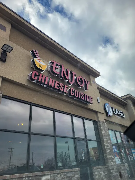 Enjoy Chinese Cuisine 6