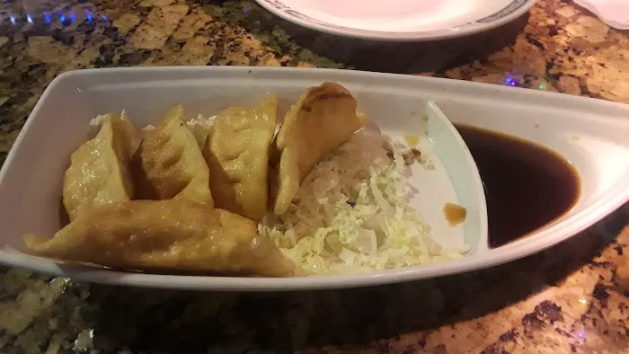 Enjoy Chinese Cuisine 1