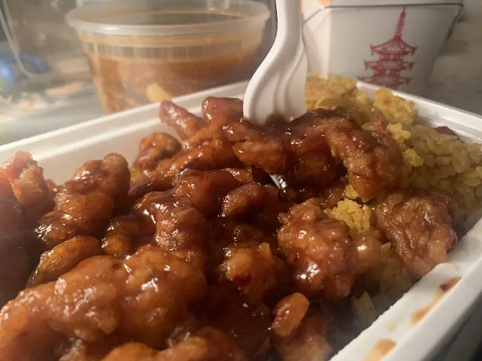 Spring Chinese Restaurant 2
