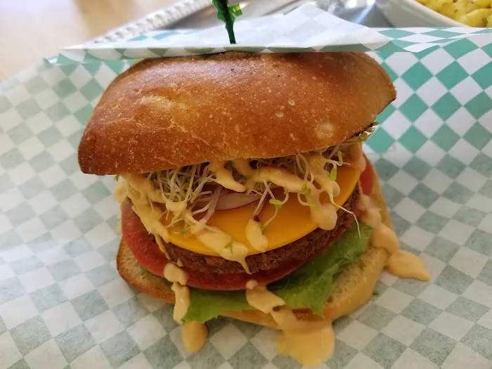 envegan Morrow 4