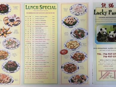 Lucky Panda Chinese Restaurant 0