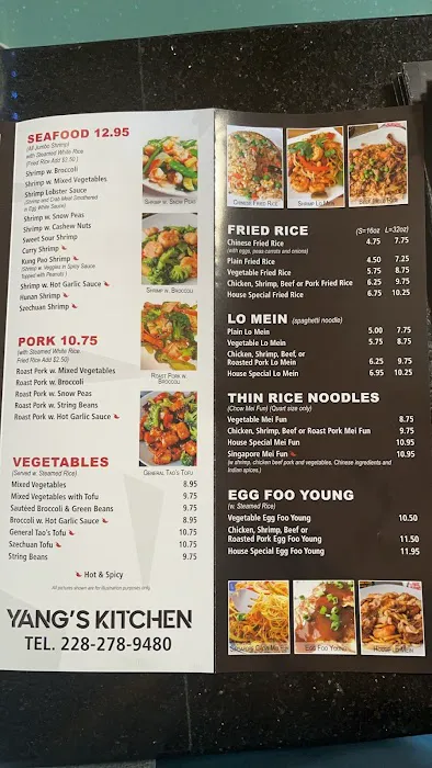Yangs kitchen Chinese restaurant 10