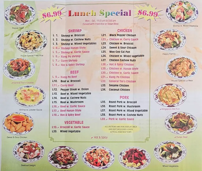 Best Wok 9