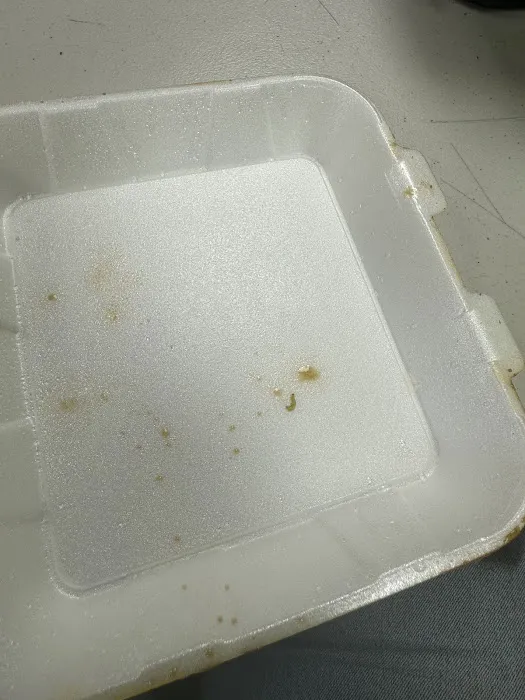 Panda Chinese Food 3