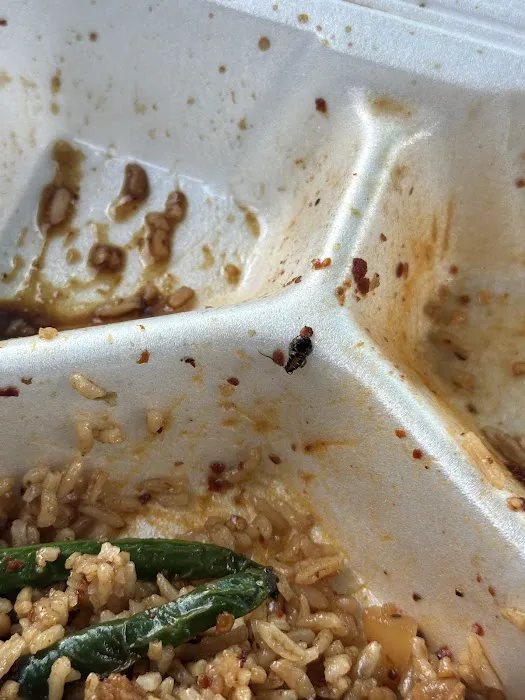 Panda Chinese Food 9