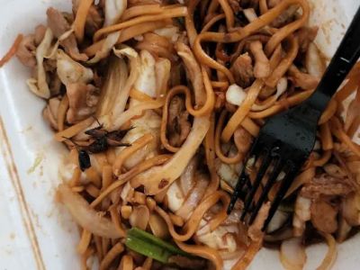 Ricebowl Express 0