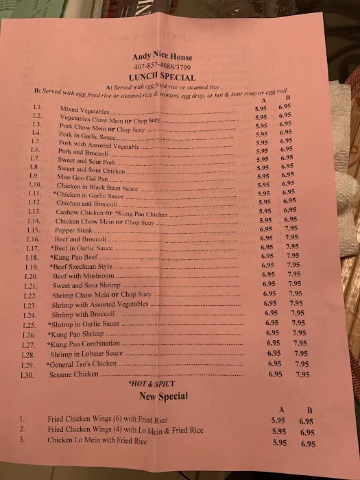 Andy Nice House Restaurant 8