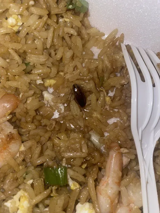 China House Restaurant 4