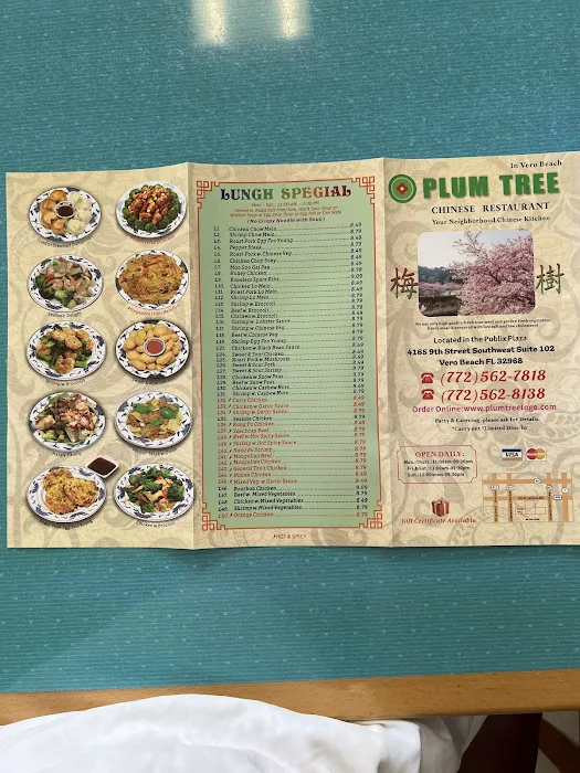 Plum Tree 10