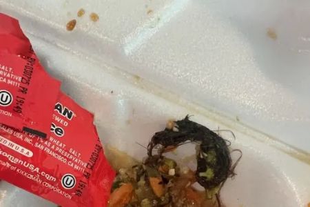 Manchu Wok