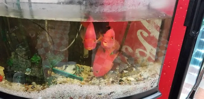 New Hing Fat 3