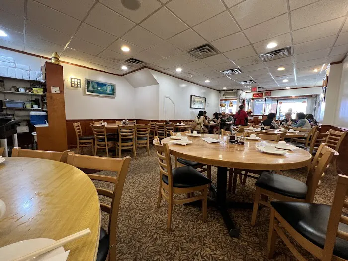 Winsor Dim Sum Café 4