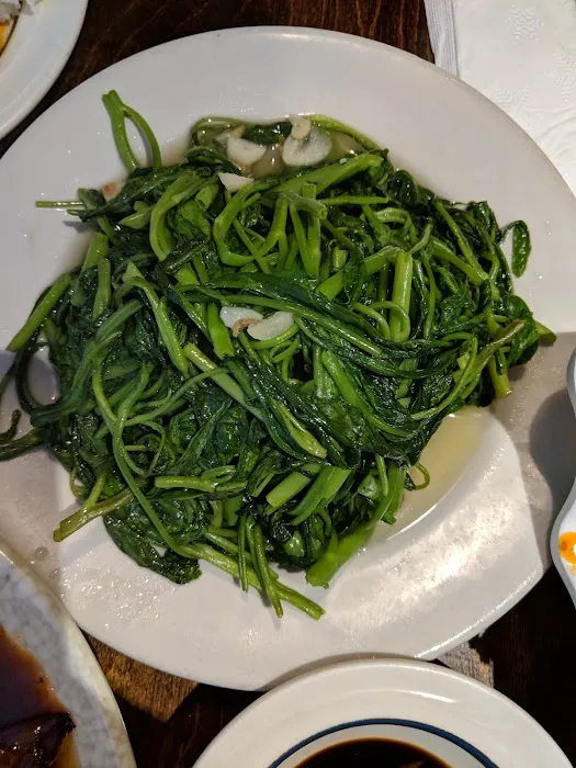 Cilantro Chinese Cuisine 10