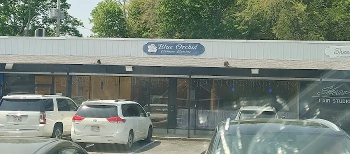 Blue Orchid Chinese Cuisine 10