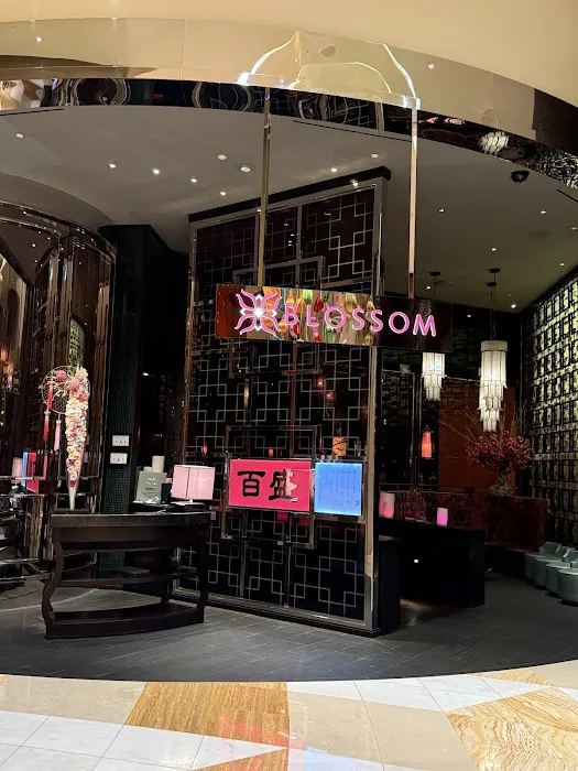 Blossom 4
