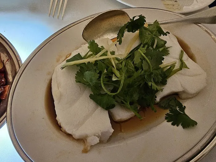 MR CHOW 6