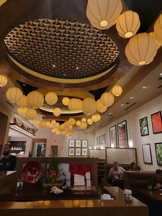 California Noodle House 5