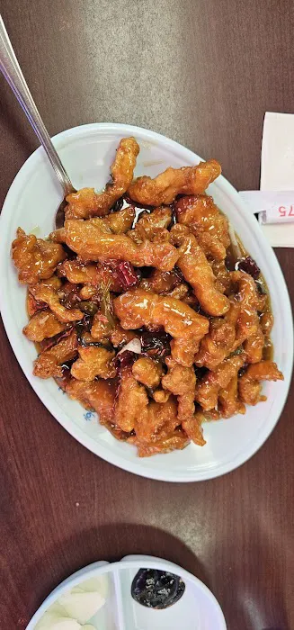 New Mandarin Garden Restaurant 8