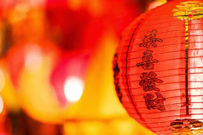 Yummi House Chinese Cuisine 5