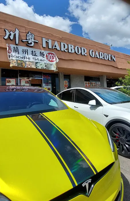 Harbor Garden Noodle Star 3