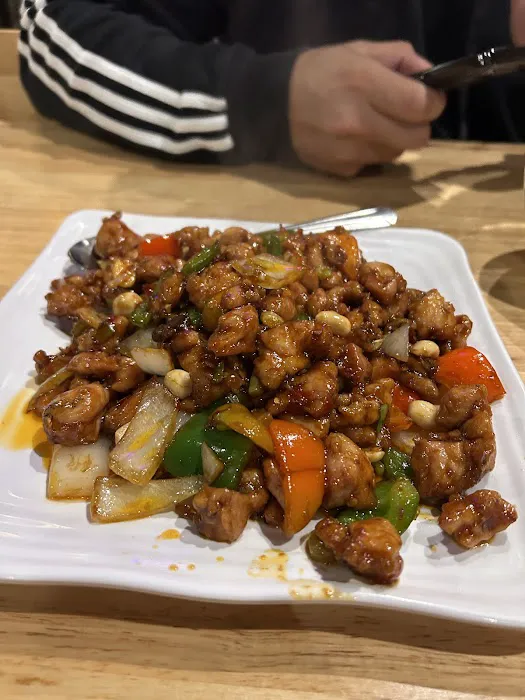 Harbor Garden Noodle Star 9